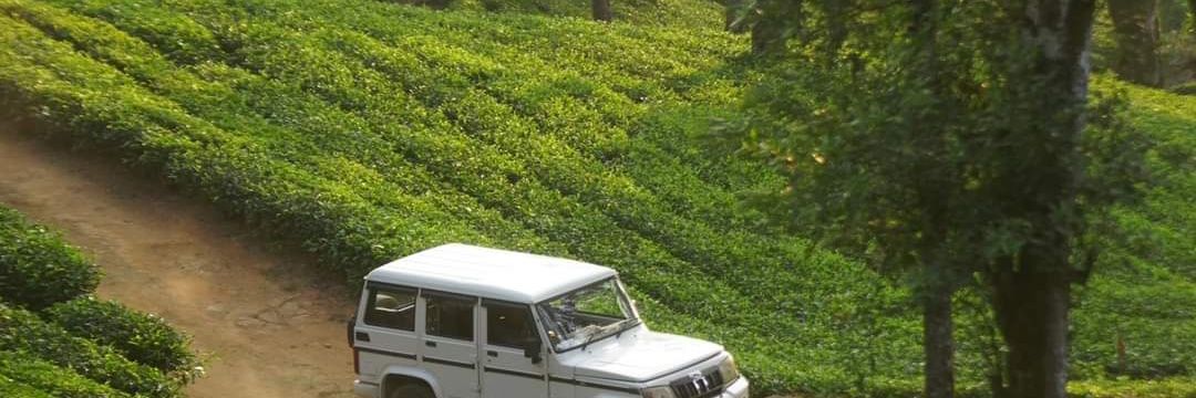 Cliffmwenja's profile banner image
