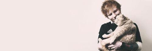 _morgannnnw's profile banner image