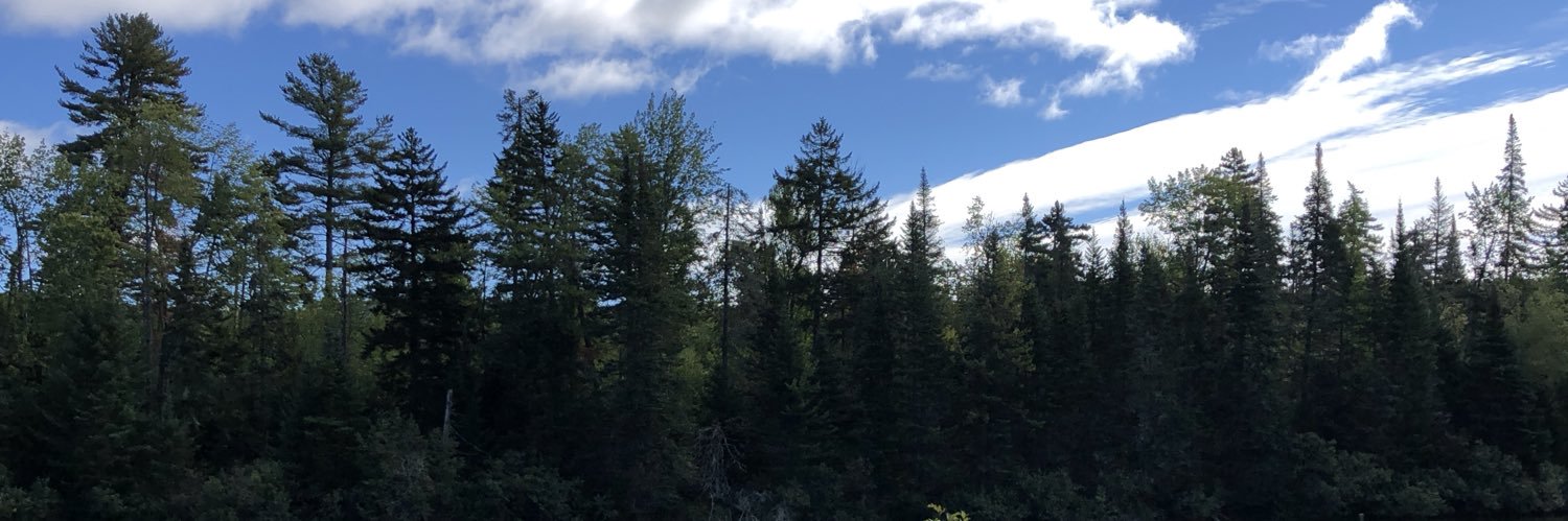 __Mase_'s profile banner image