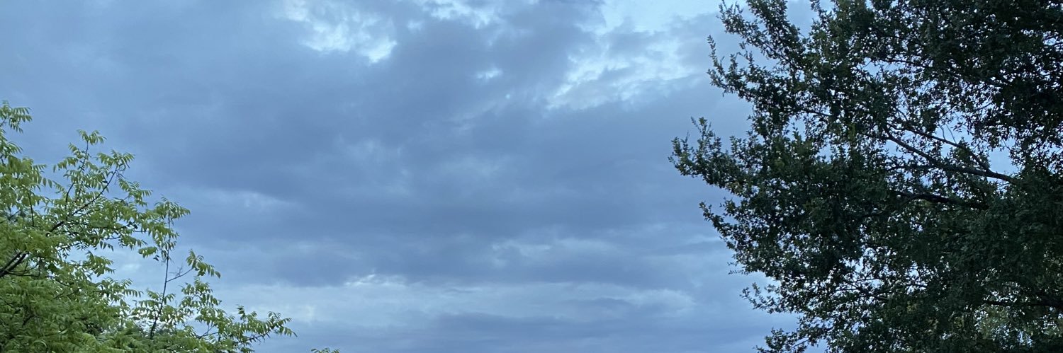 ceneegraham's profile banner image