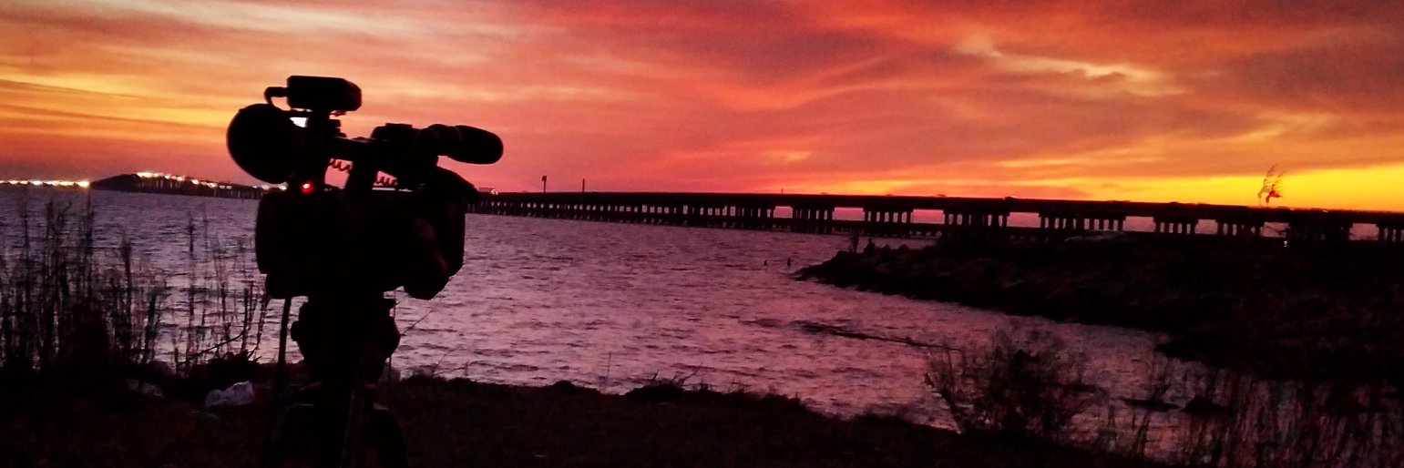 Kelley Williamson banner