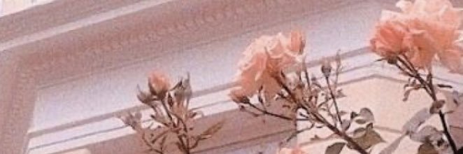 emilyhuffman01's profile banner image