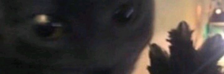 geowbez's profile banner image
