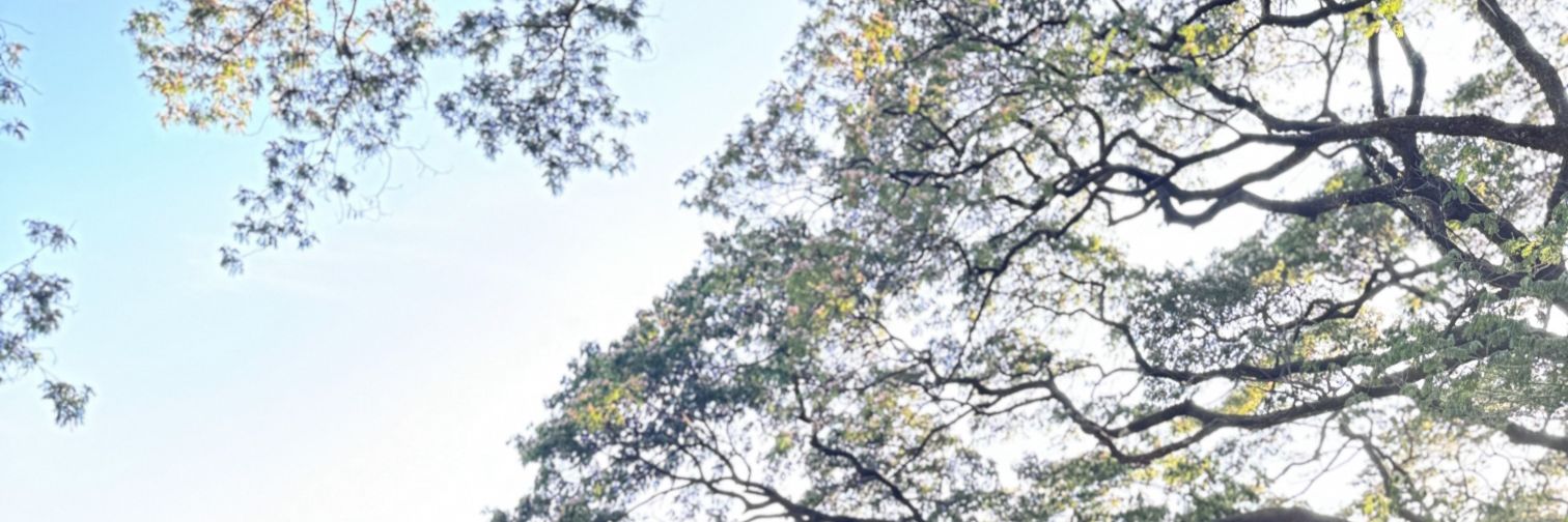abbatabinas's profile banner image