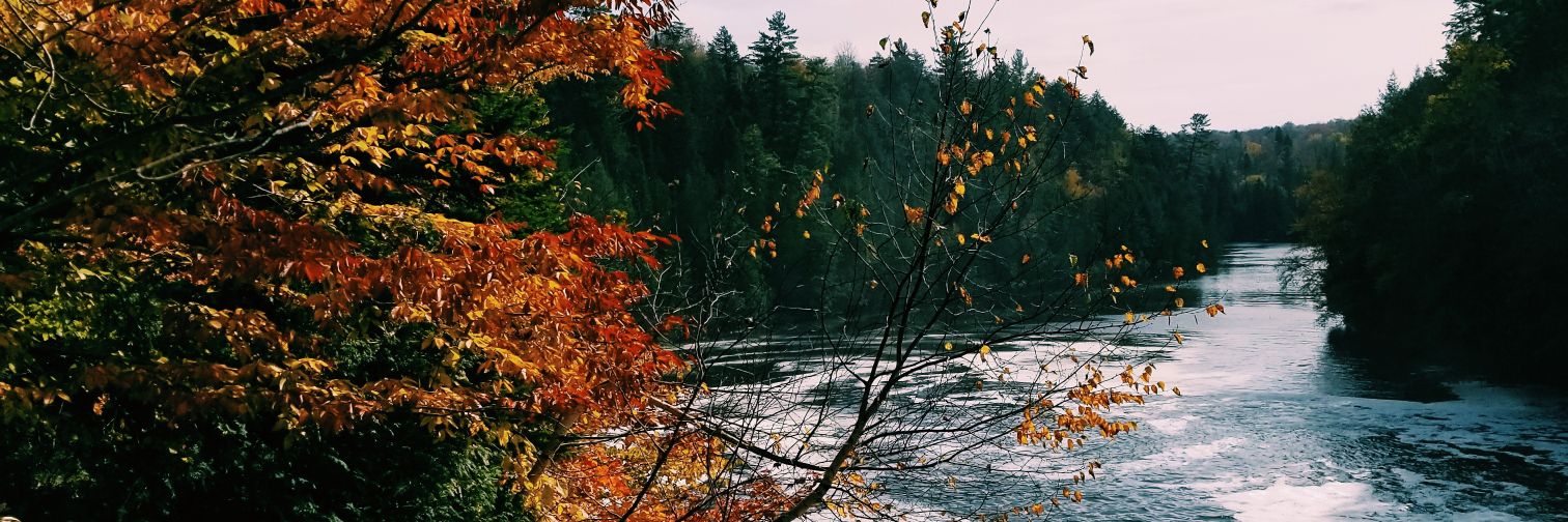 RachelSchiev's profile banner image