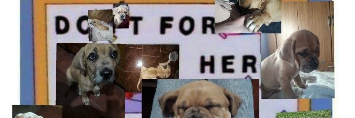Maleserrano_'s profile banner image