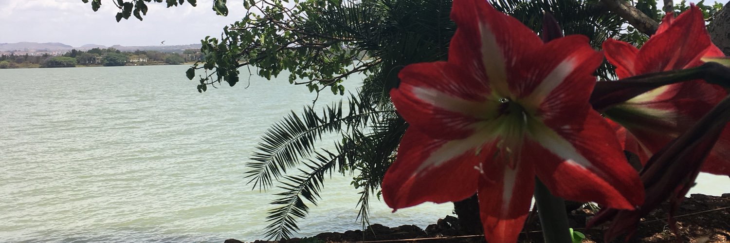 mapf321's profile banner image