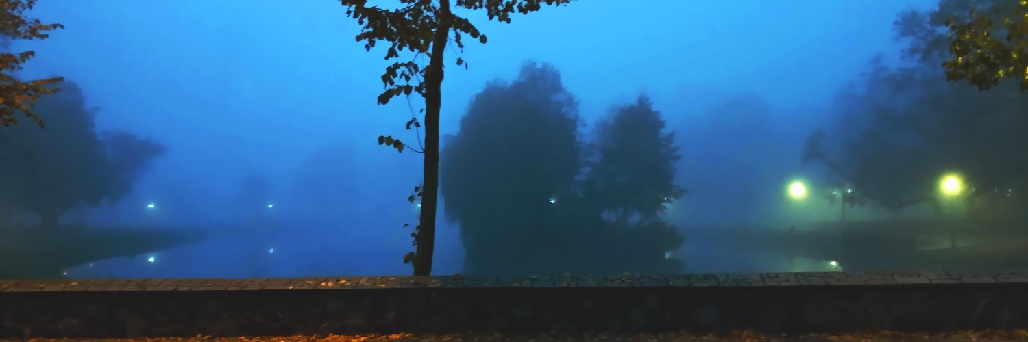 MortalRavenn's profile banner image