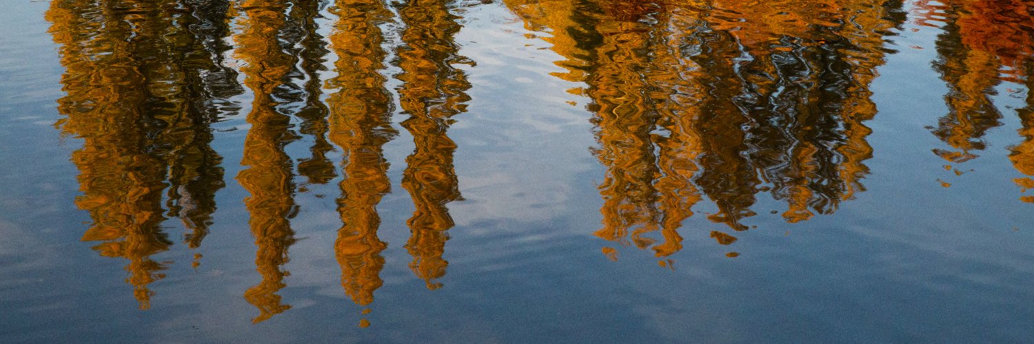 TLReplicant's profile banner image