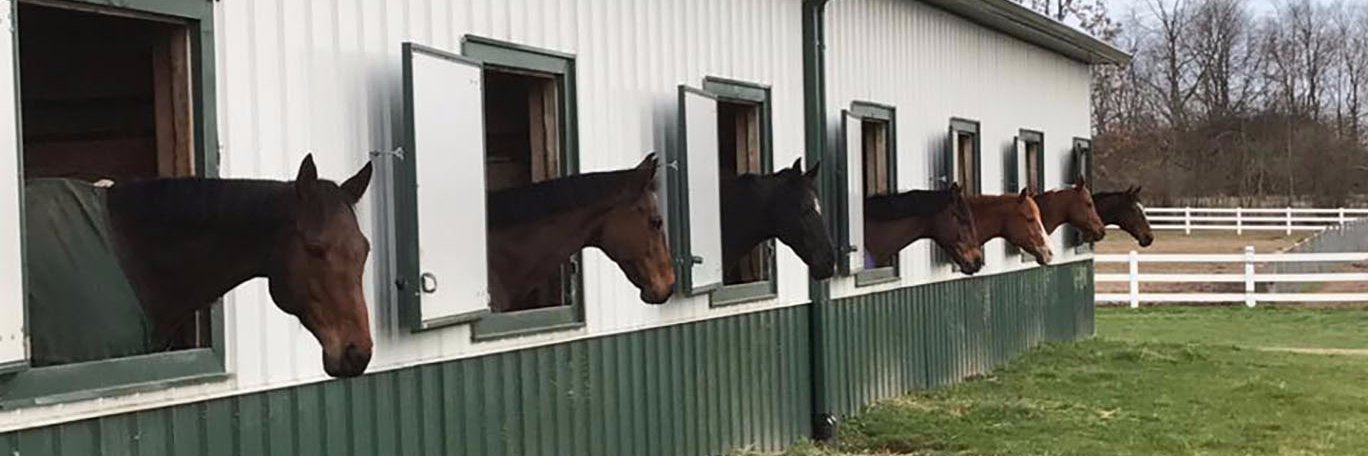 ND_Equestrian's profile banner image