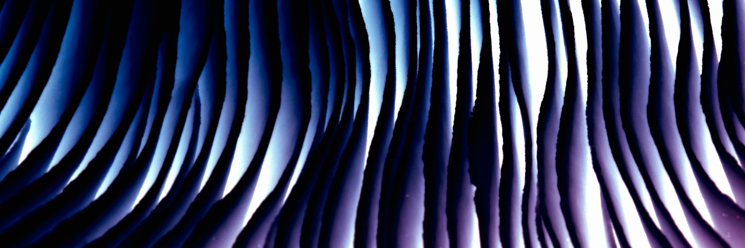 mainar11's profile banner image