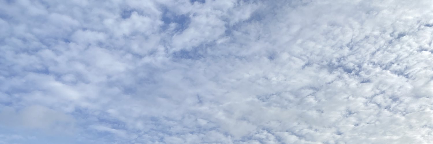 Janni Møller Thomsen banner