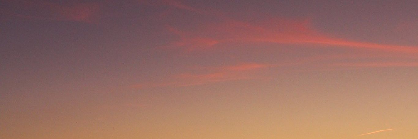 nprgl_'s profile banner image