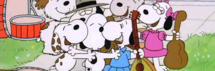 Alex Schmidt 🦬 banner