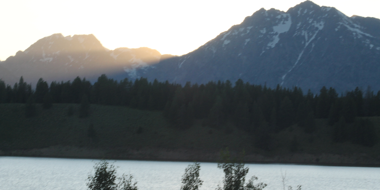 Steven Knuckles banner