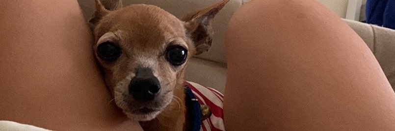 ninkee's profile banner image