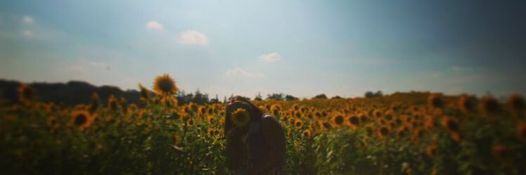 cdepalmer18's profile banner image
