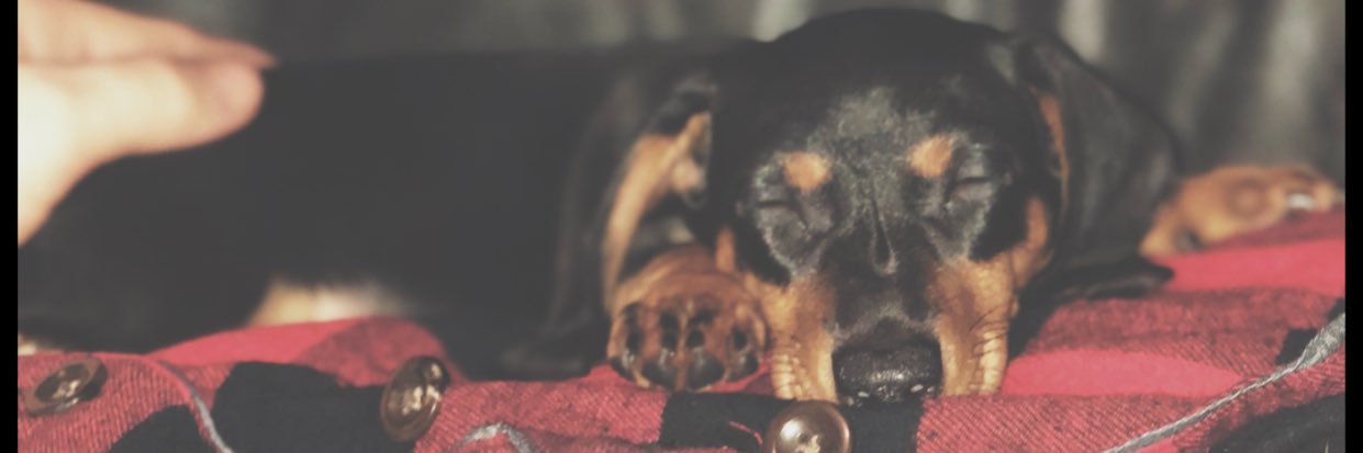 ashley_ross15's profile banner image