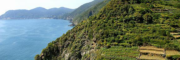 Franzandreani banner