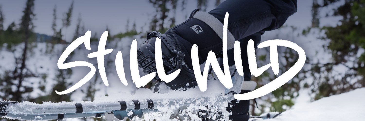 visitswidaho's profile banner image