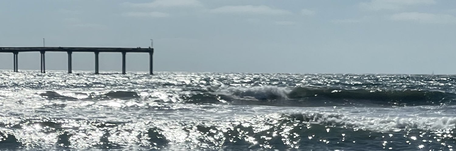 lilbnny's profile banner image