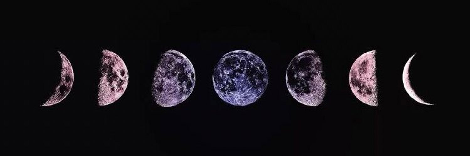 thatfitwitch's profile banner image
