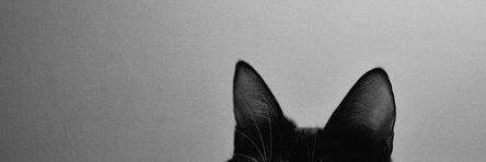 NatashaPori's profile banner image
