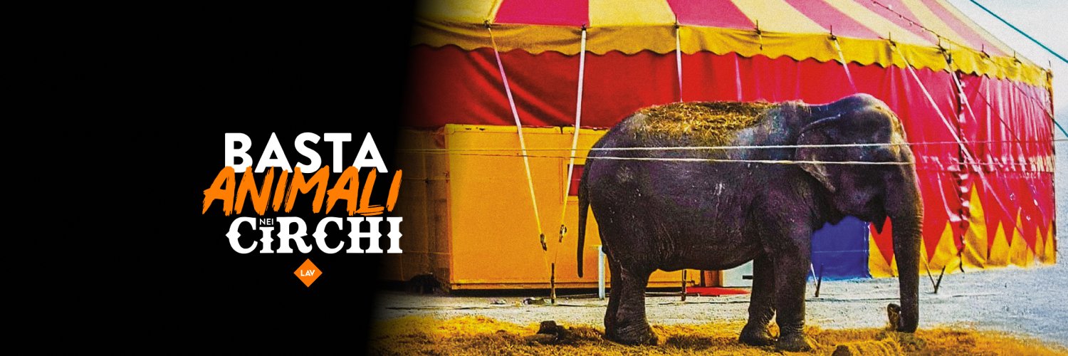 LAV Sedi Locali banner