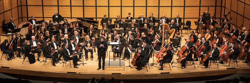 OrchToronto's profile banner image