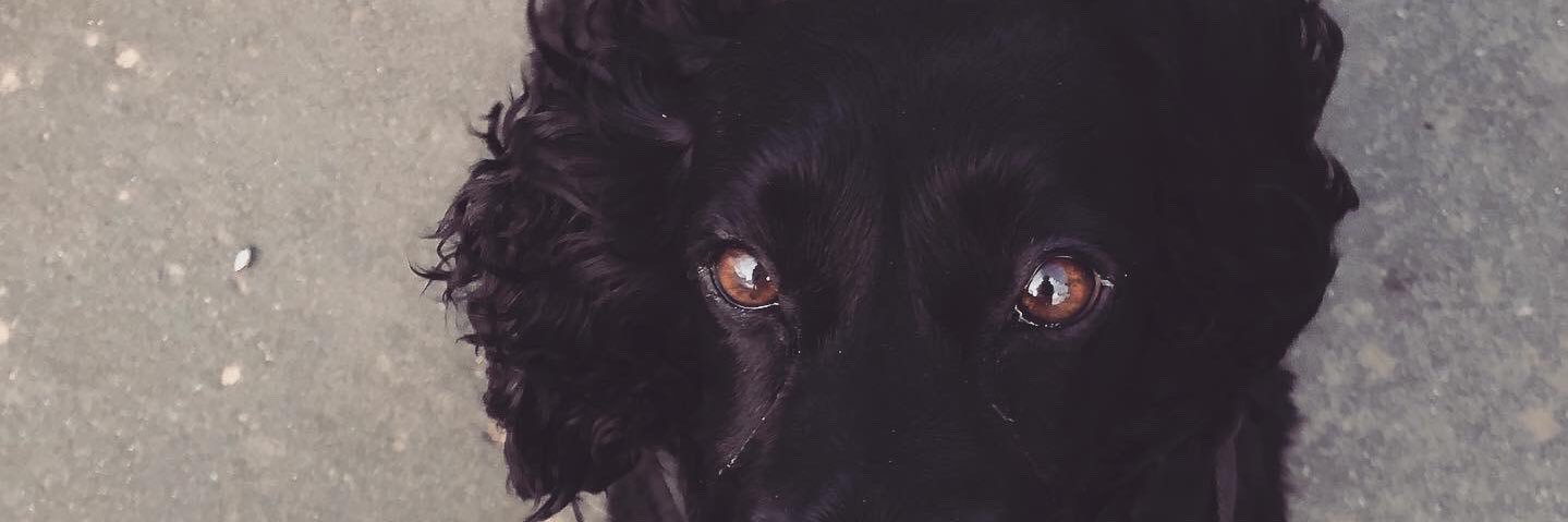 _nataliemac's profile banner image