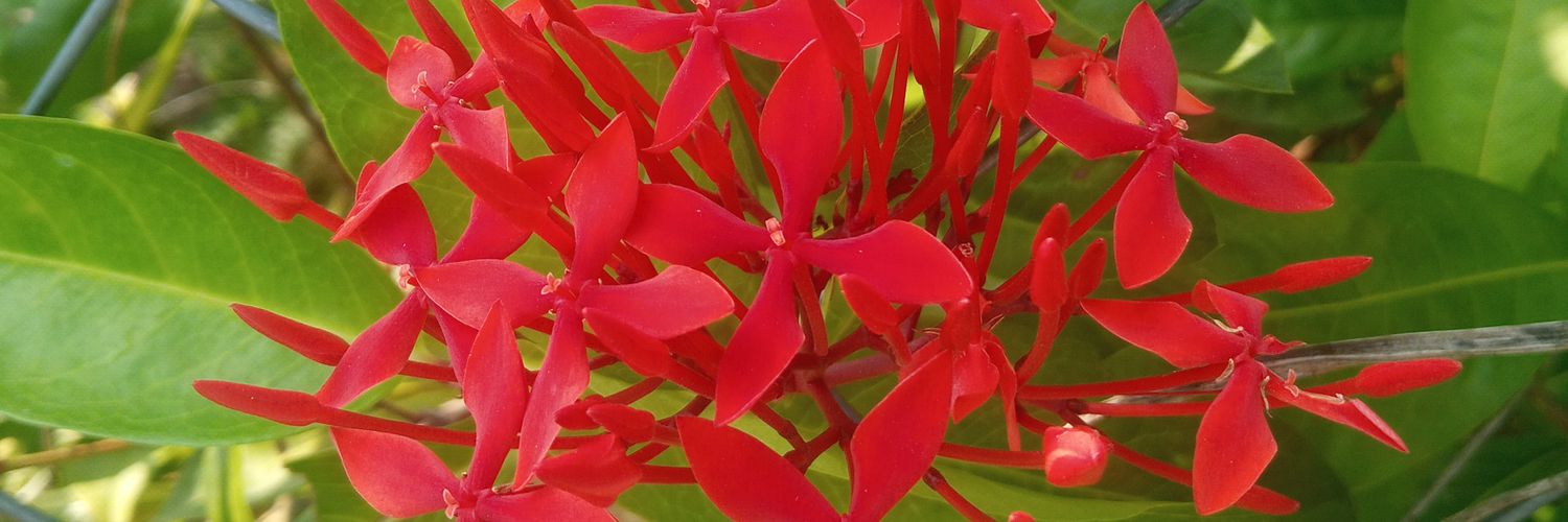 physraja's profile banner image