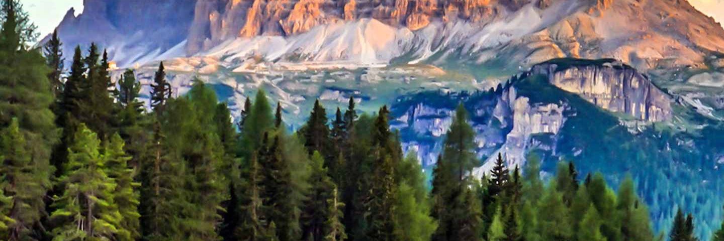 battal taşkıran banner