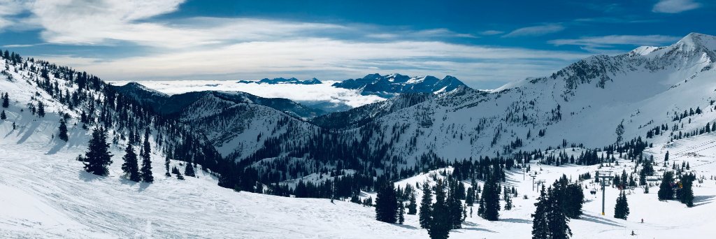 Andrew Felbinger banner