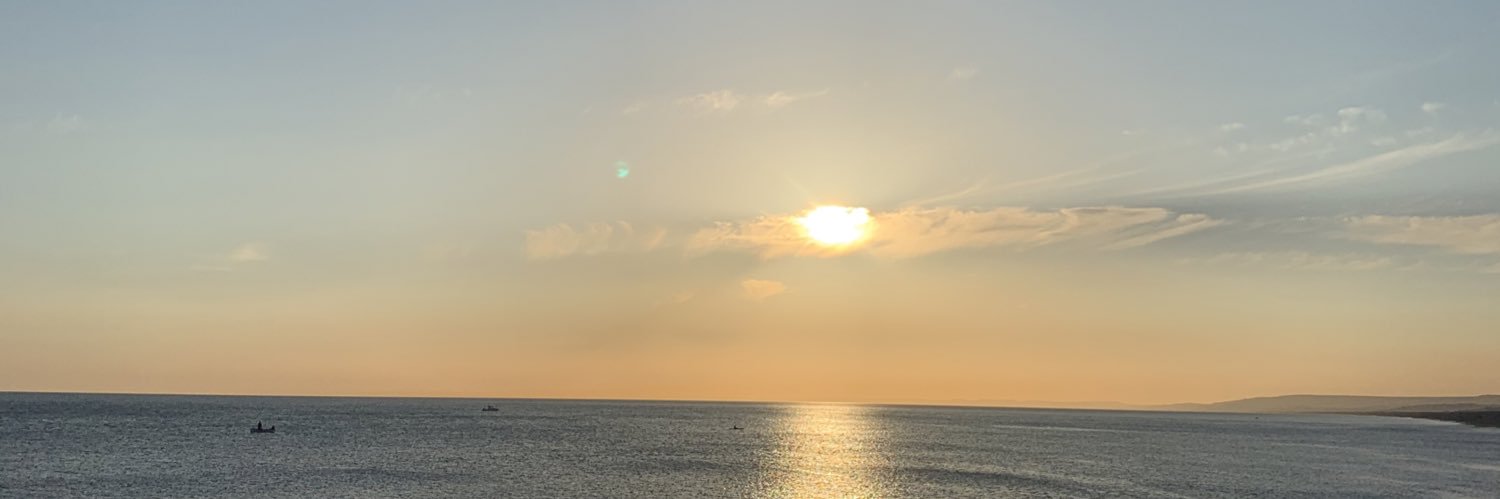 brodieecook's profile banner image