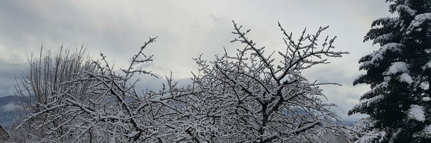 Charles Dexter Ward banner