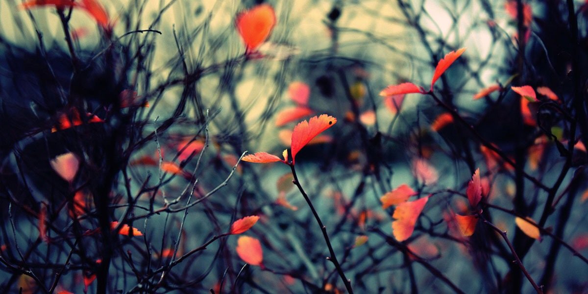 jesse_gebhardt's profile banner image