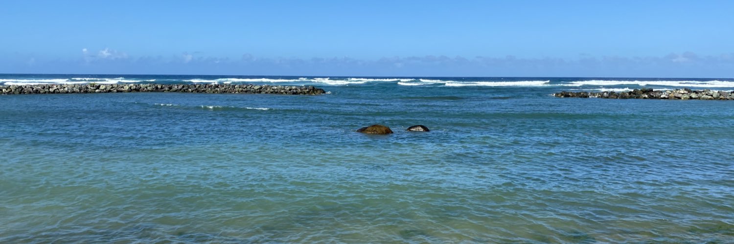 Stéphan Larouche banner