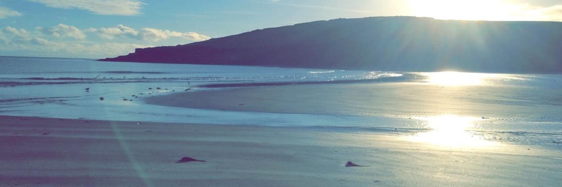 Róisín McCarthy PhD banner