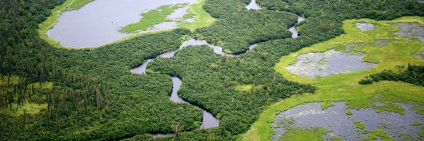 actade Profile Banner