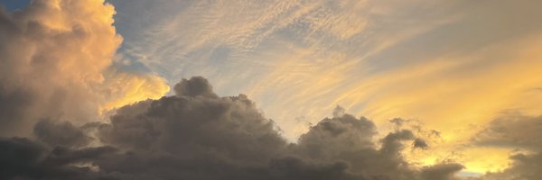 ParomaMukherjee Profile Banner