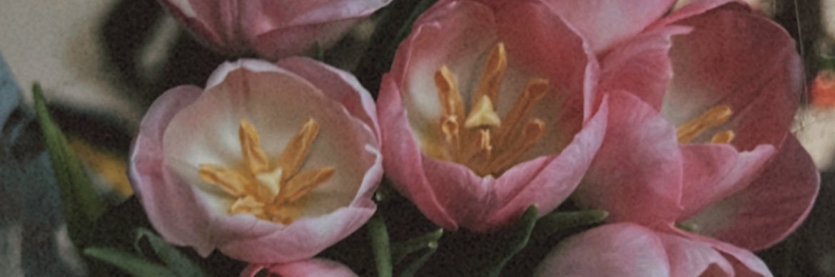 _melyyy's profile banner image