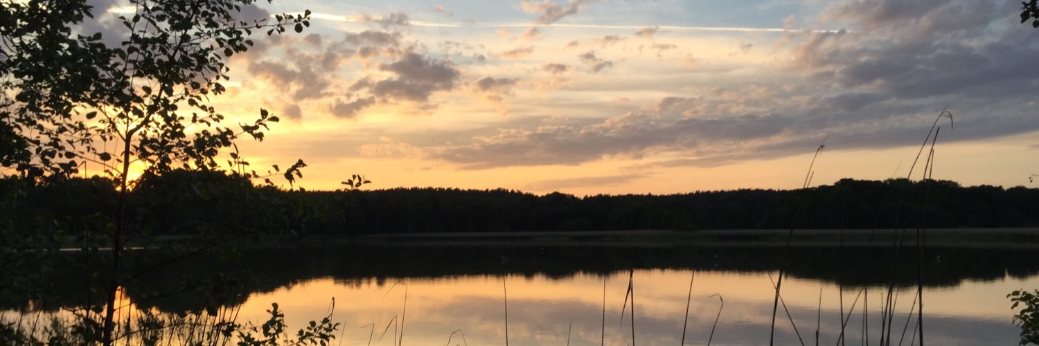 Dr Karin Glasemann banner