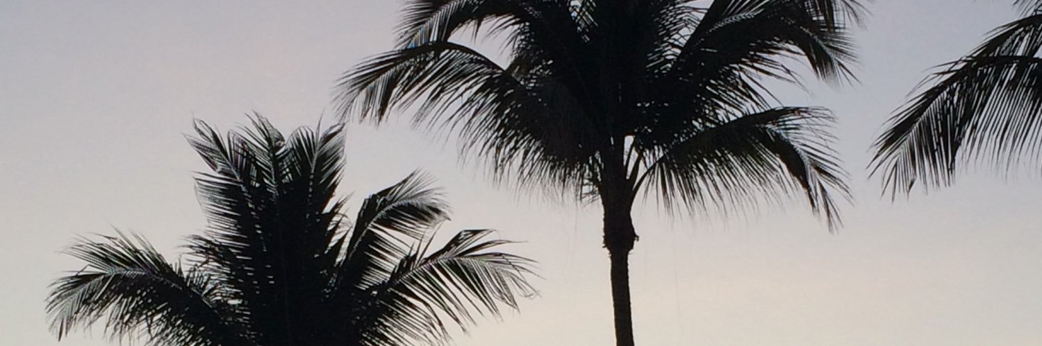 GerardPonc's profile banner image