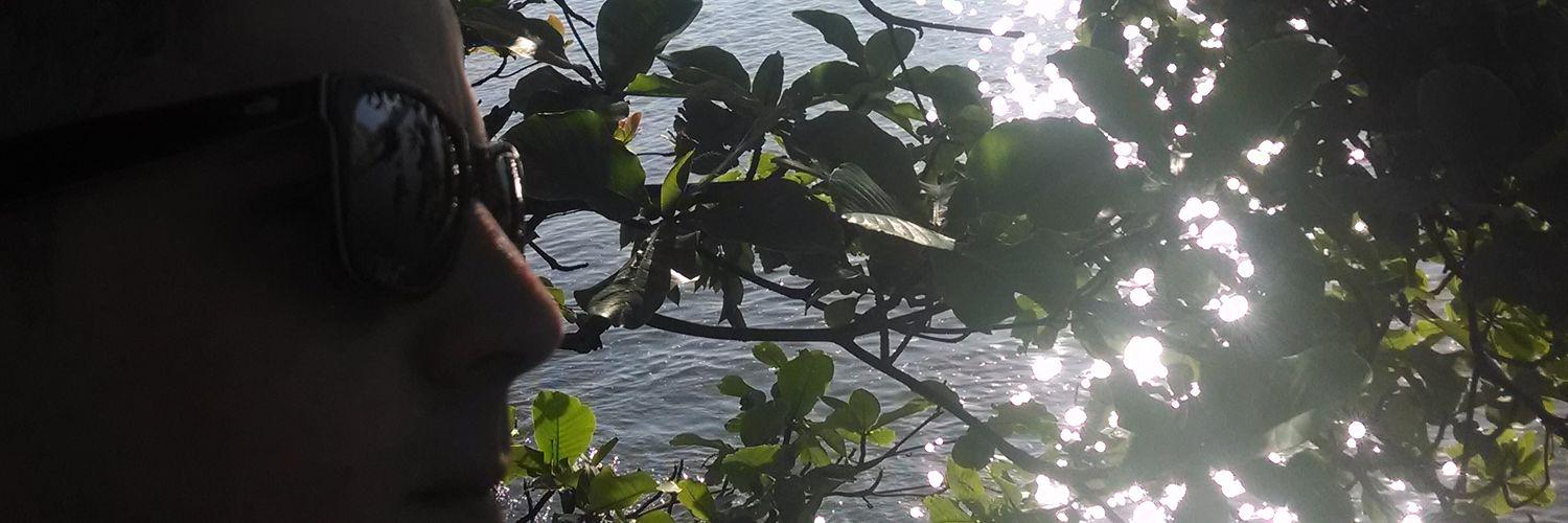 WerickDiego's profile banner image