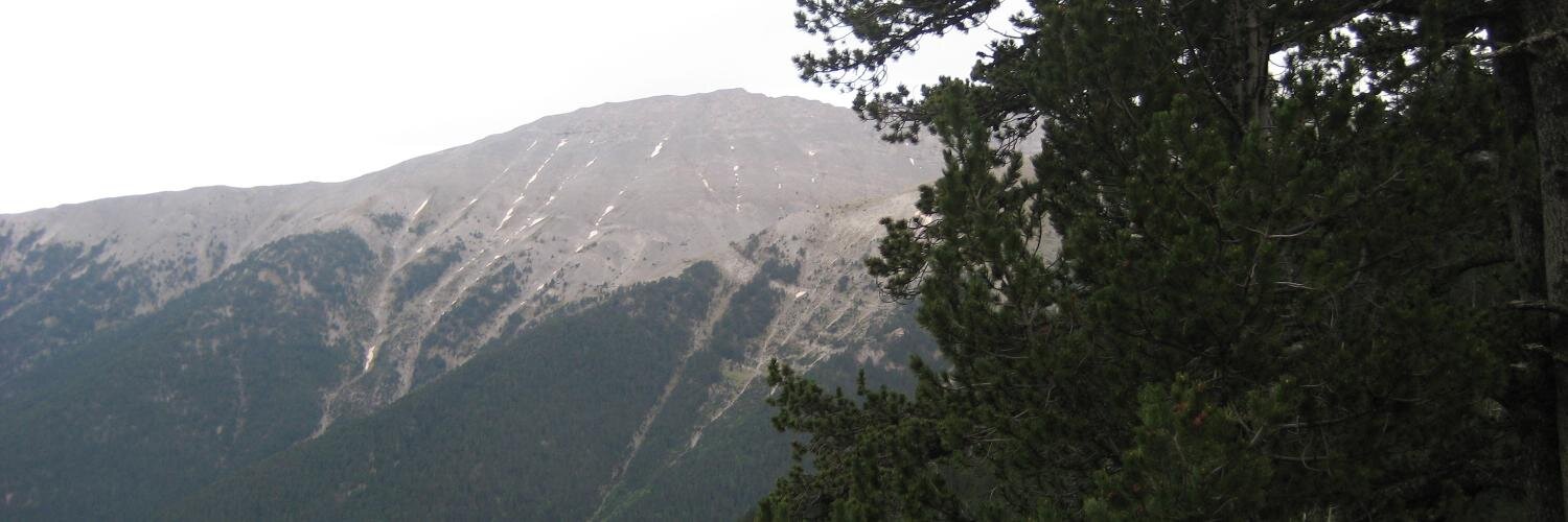 Aaron Lerner, nothing clever right now banner