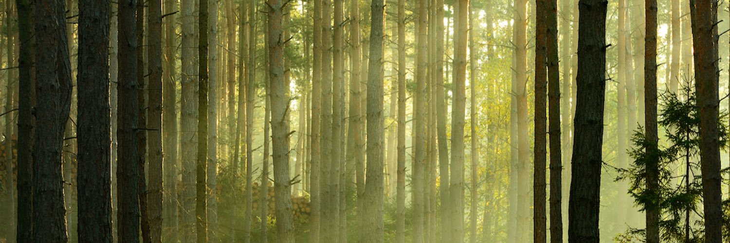 jarstter's profile banner image