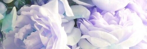magmacfarlane's profile banner image