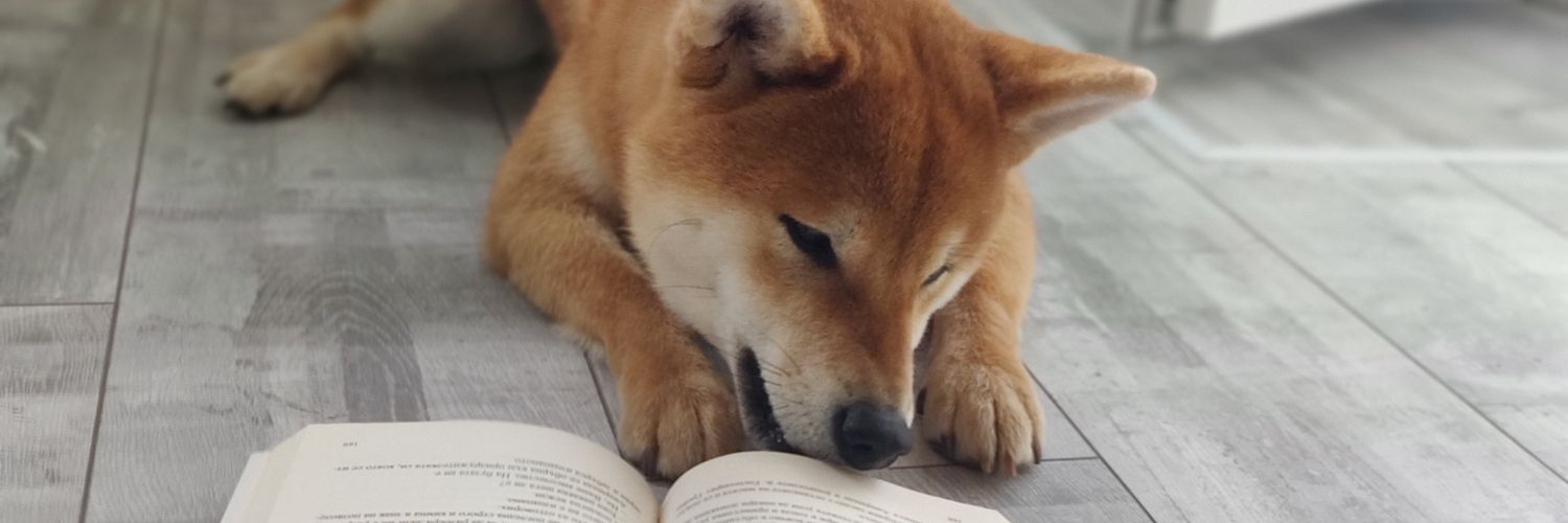 SmartΞDoge 🦇🔊 banner