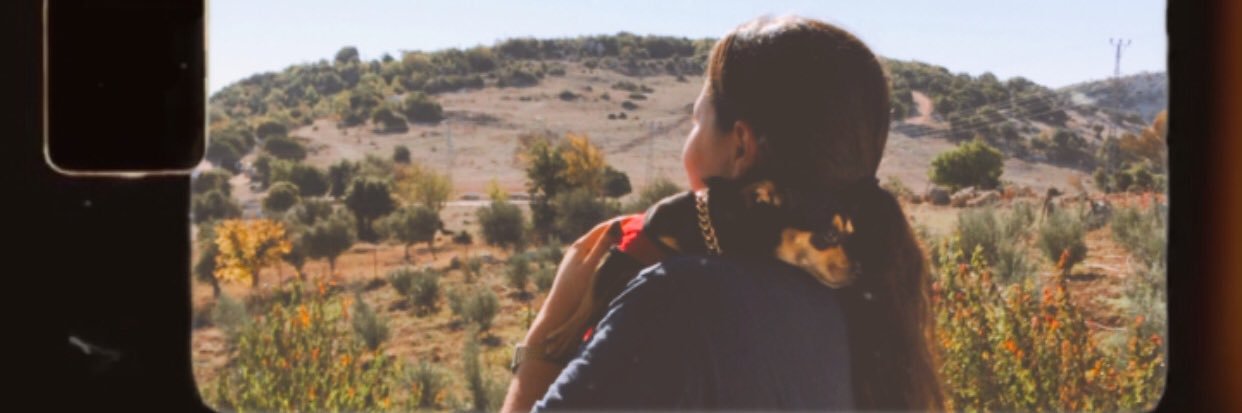 ftmalkaya's profile banner image