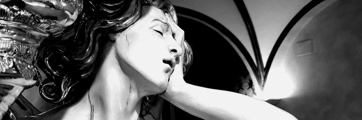 F. Fernández Mayorga banner